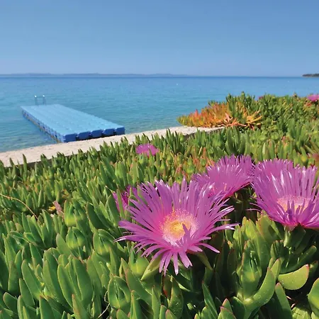 - Zadar 6 Vakantiehuis Zadar