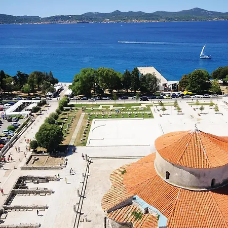- 6 Ζαντάρ